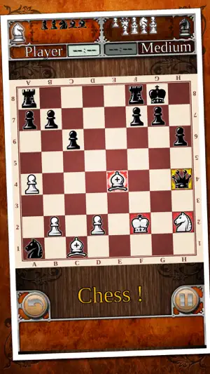 国际象棋 高清 免费