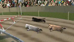 猫赛车免费游戏